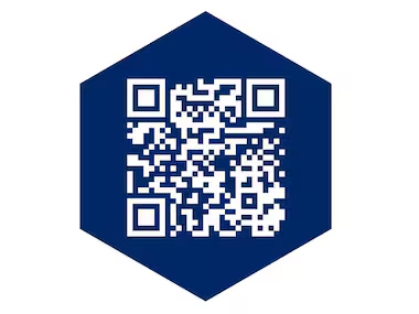 VOICE QR code